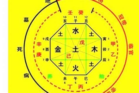 八字喜水木|八字算命：八字喜水木的人特征